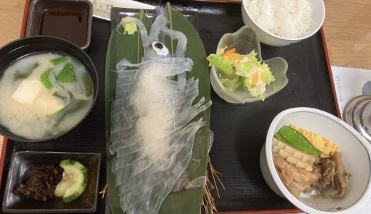 山口県須佐のイカを食べよう(^^)